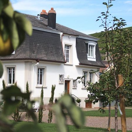 Les Charmes De La Vallee Noble Soultzmatt Exterior photo